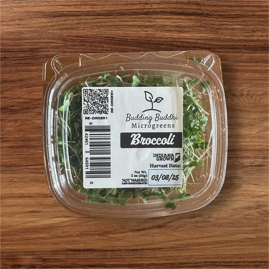 Broccoli Microgreens