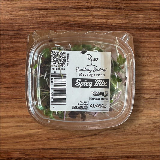 Spicy Mix Microgreens