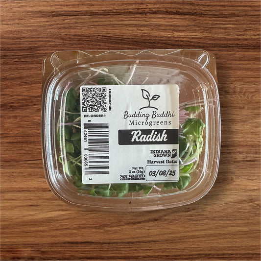 Radish Microgreens